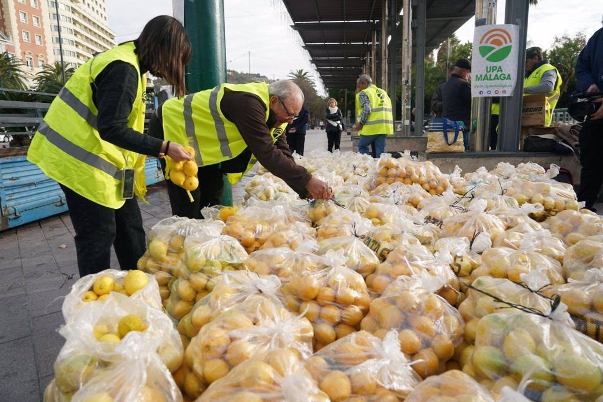 El secretario general de UPA Málaga, Francisco Moscoso, y más de una docena de agricultores, ha repartido limones este jueves en la plaza de la Marina de la capital de la Costa del sol para criticar los &quot;precios de ruina&quot; que cobran los productores