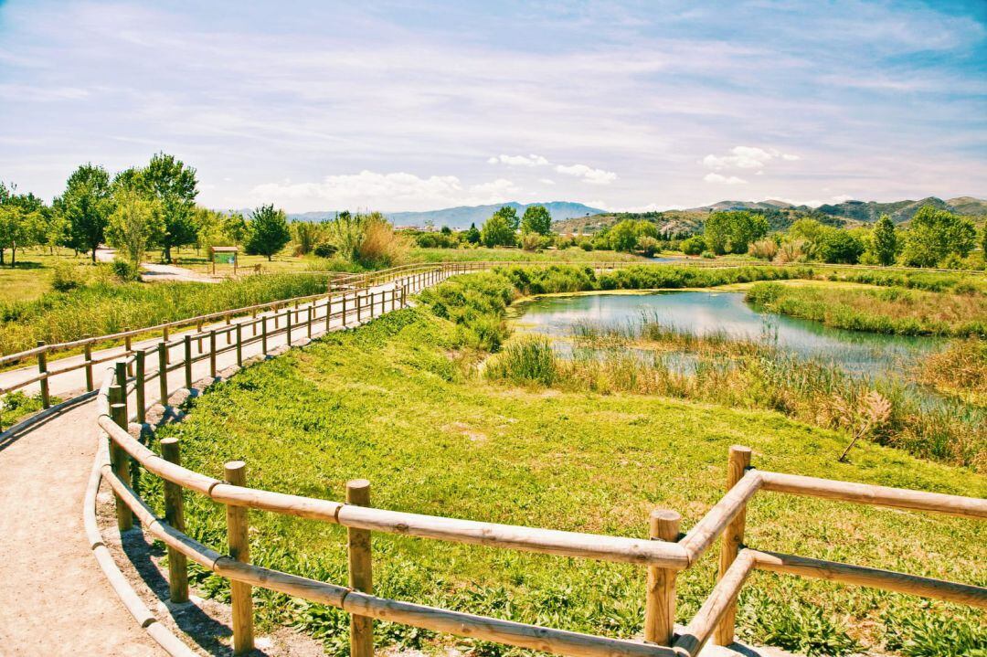 Marjal de Gandia junto a l'Alqueria del Duc