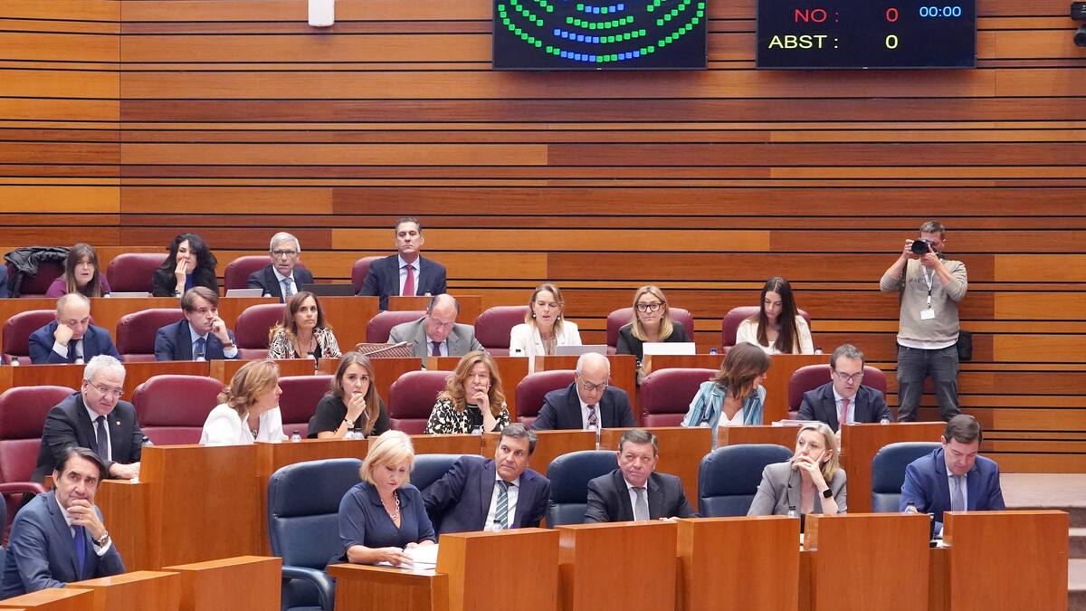 Unanimidad de las Cortes para instar a la Junta a reconocer la categoría de bombero forestal antes de que acabe el año