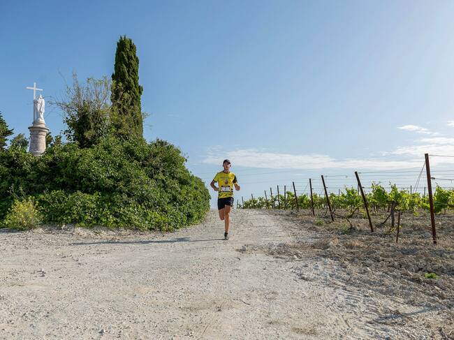 Imagen JJP Sherry Maratón de Jerez