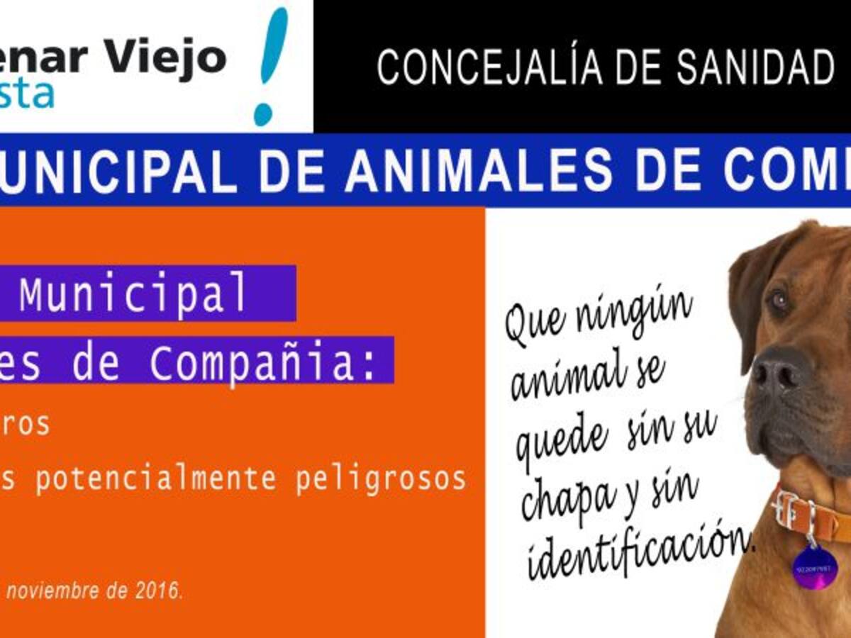 Los animales de Colmenar Viejo tienen su propio DNI
