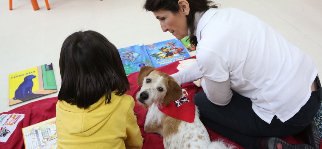 Los perros corrigen a los alumnos cuando se equivocan