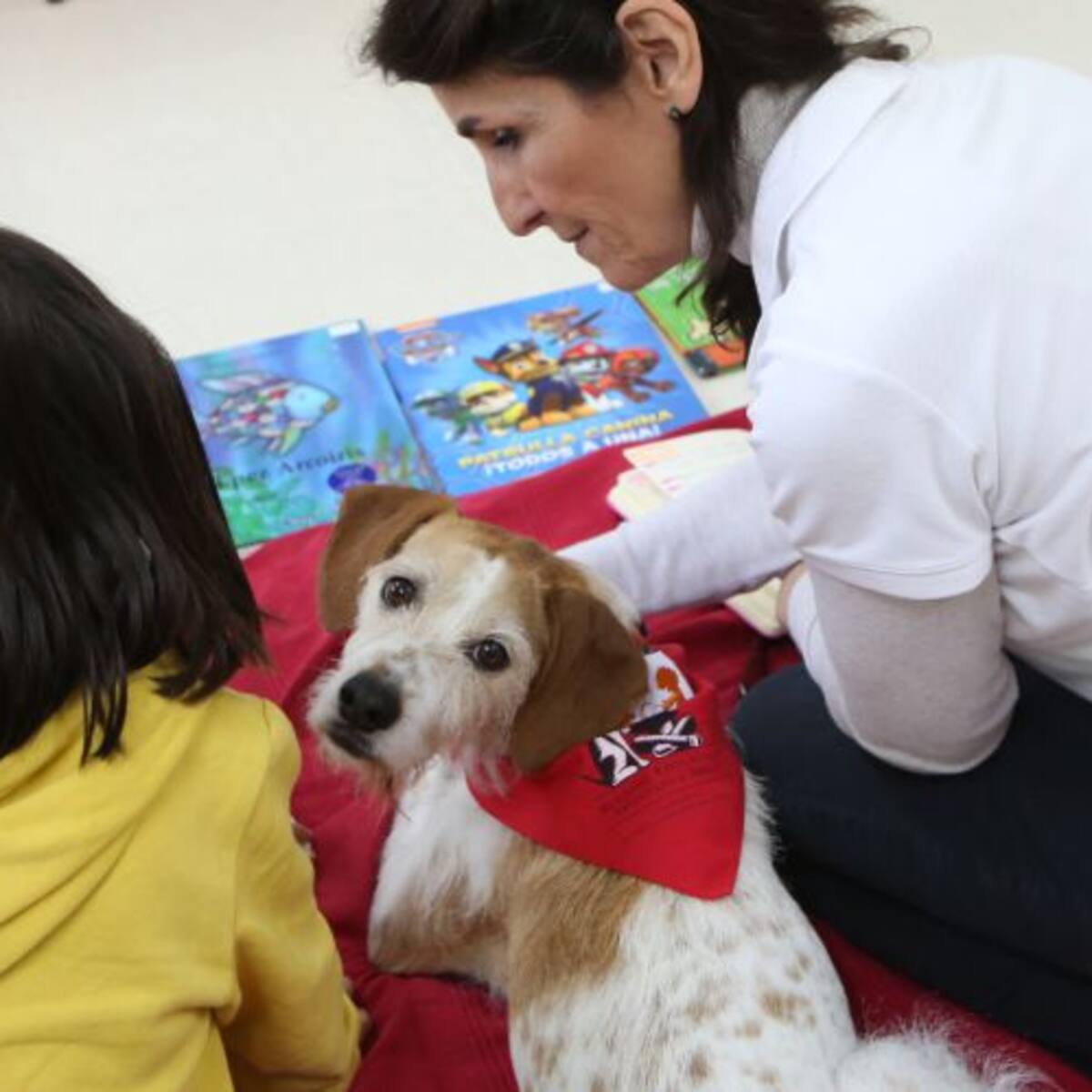 Perros de terapia para ayudar a alumnos con dificultades de aprendizaje en Tres Cantos