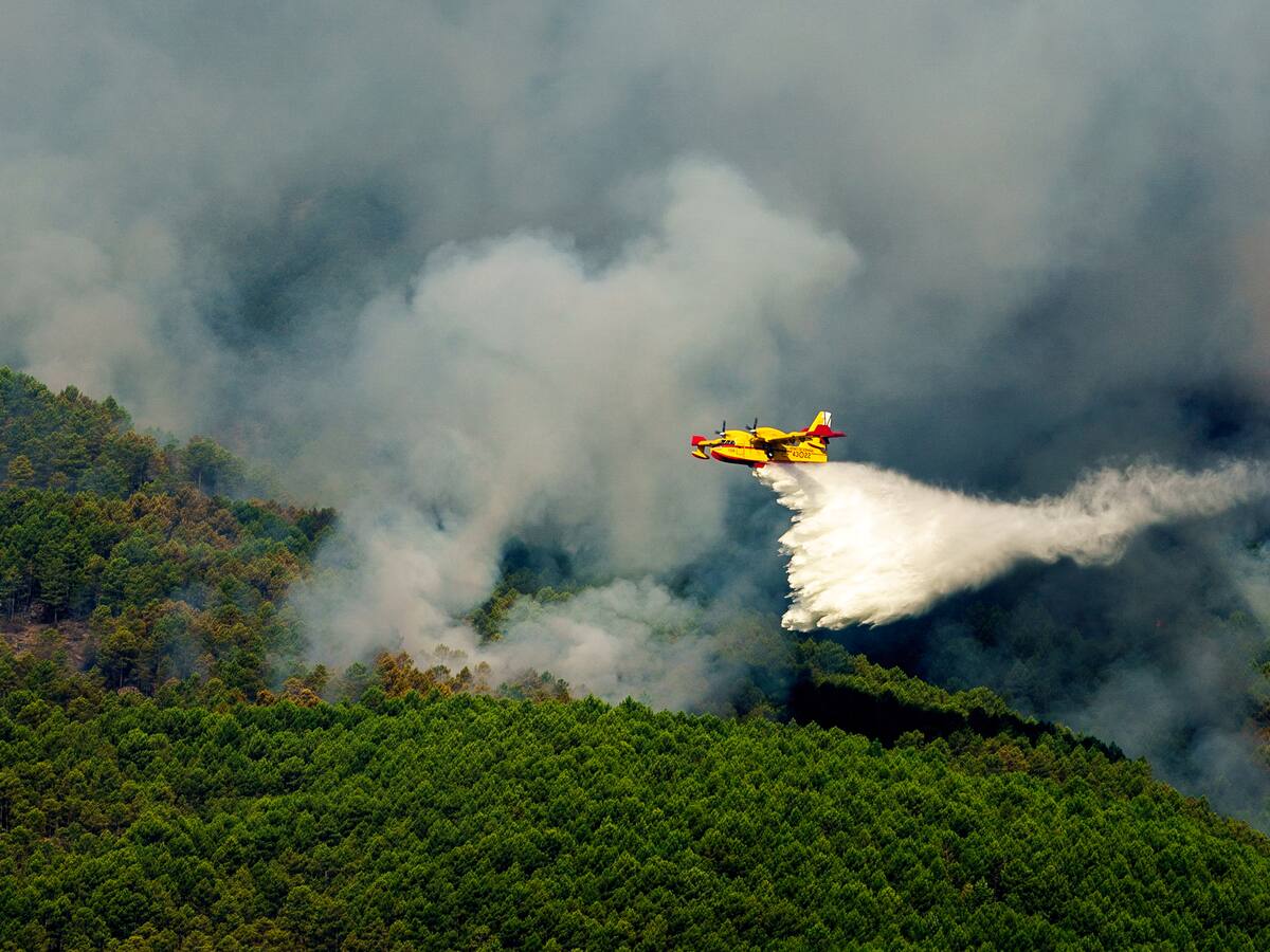 Ávila y León continúan con fuegos activos mientras Galicia da por estabilizados todos sus incendios