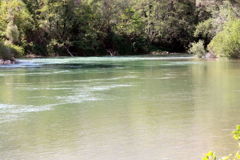 El tram del riu Segre a Camarasa on al juny va morir-hi ofegat un jove.