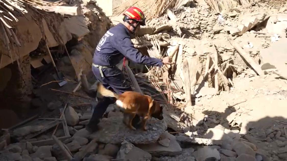 El bombero cordobés Antonio Caballero y su perro &#039;Bolo&#039; buscan supervivientes entre los escombros que ha dejado el terremoto de Marruecos