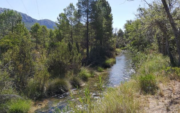 El sendero que recorremos discurre, en muchos tramos, junto al río Cabriel.