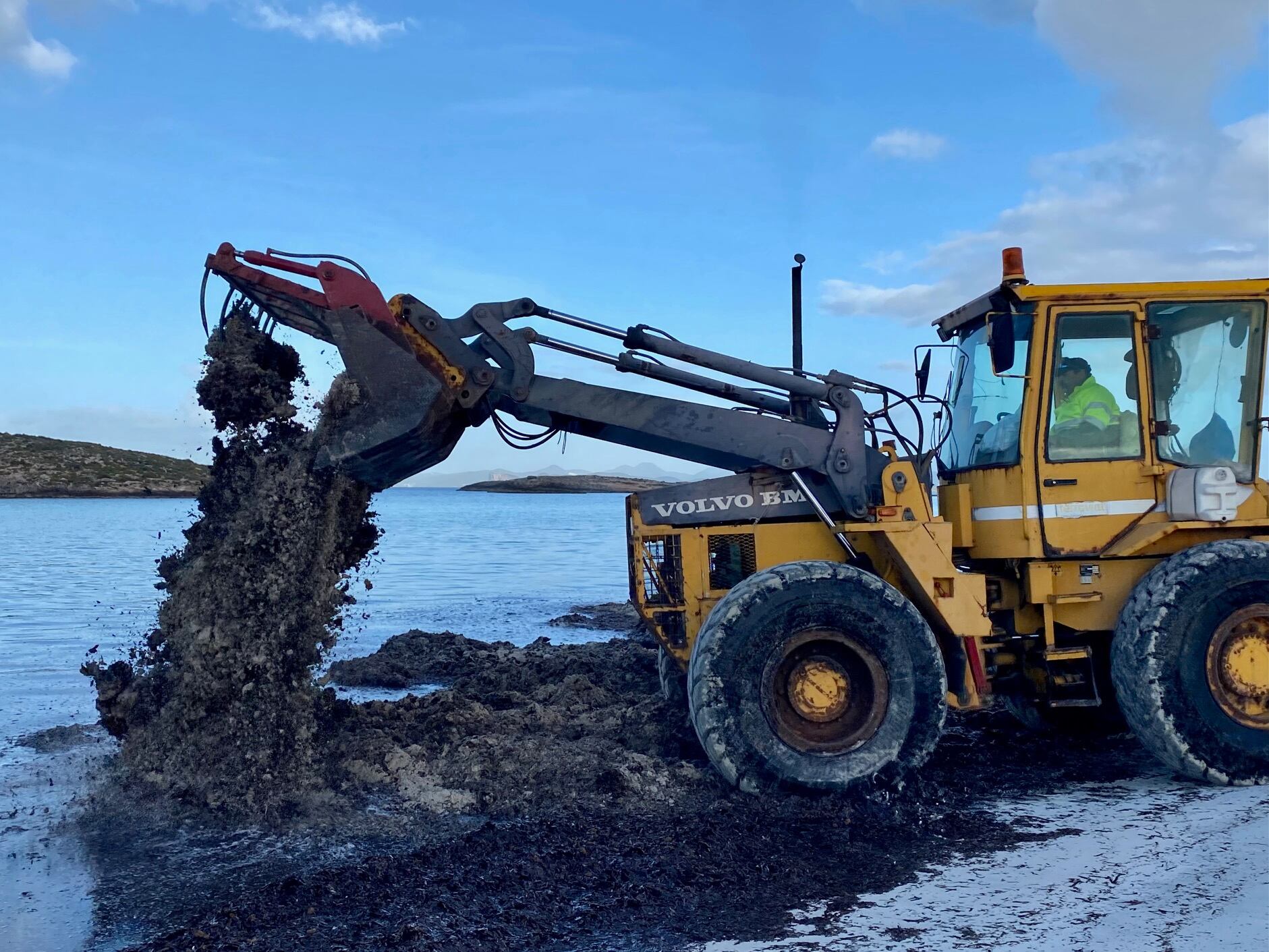 Imagen de los trabajos