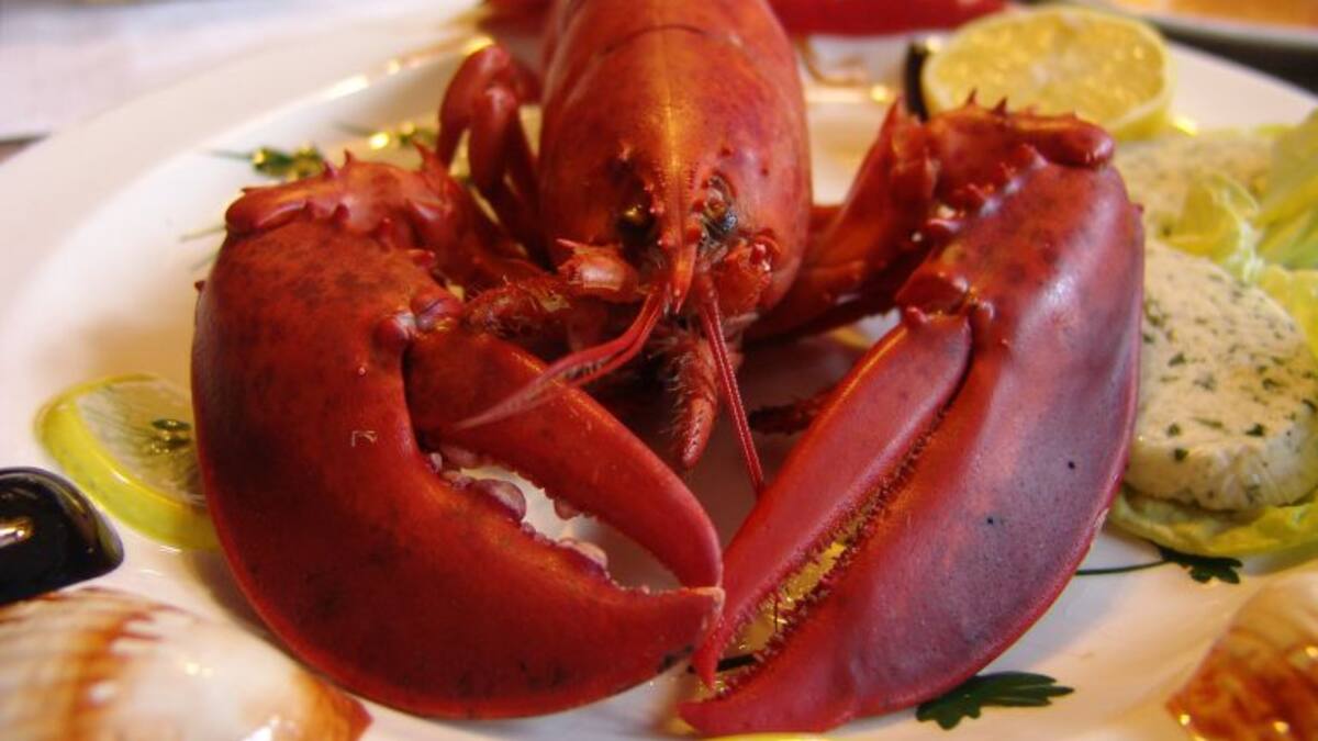 CLUB GASTRO XV: Platos pobres, platos ricos