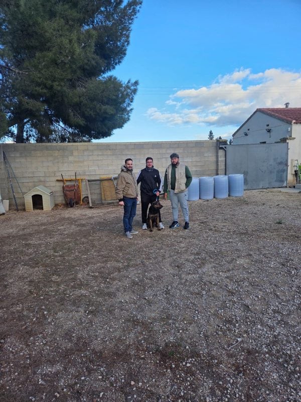 Visita al albergue canino municipal de Caudete