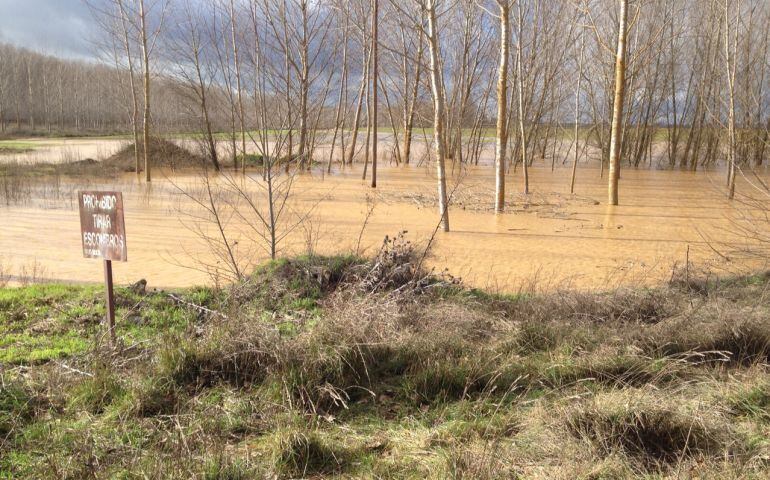 Río Valvadia a su paso por Osorno