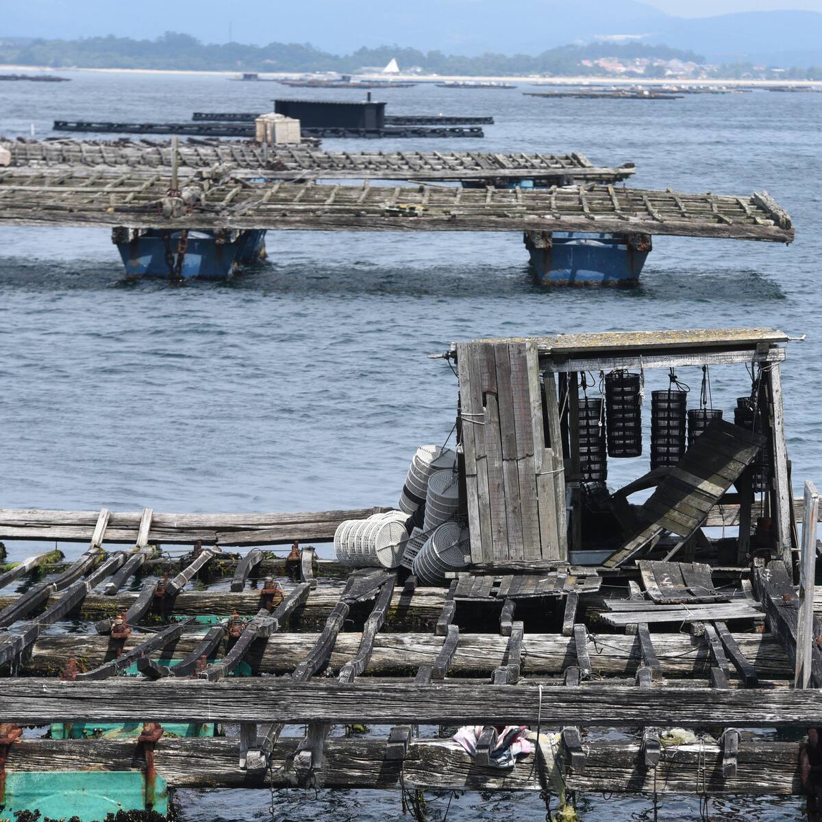 La Dirección Xeral de Pesca autoriza la colocación de hasta 50 cuerdas más por batea
