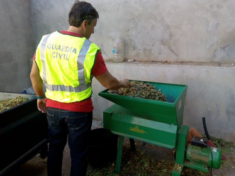 Un miembro de los equipos ROCA ante parte de la almendra hurtada