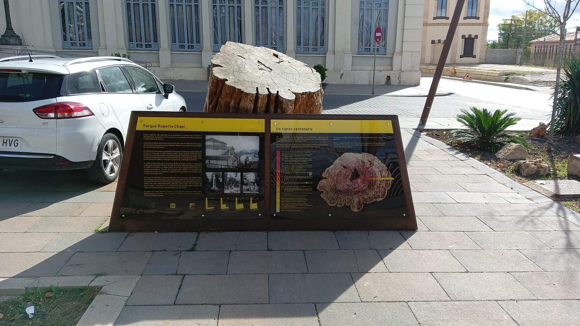 Tocón del Paseo Chapí