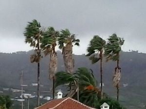 El viento sopla con fuerza en Tegueste