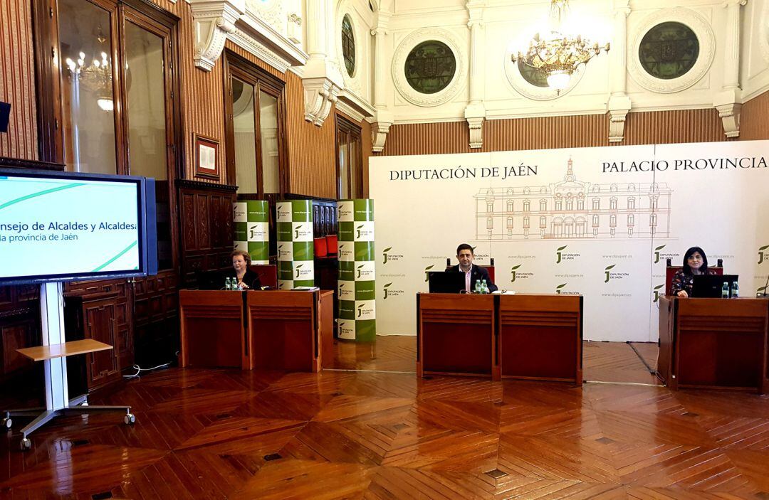 Consejo telemático de alcaldes y alcaldesas de Jaén.