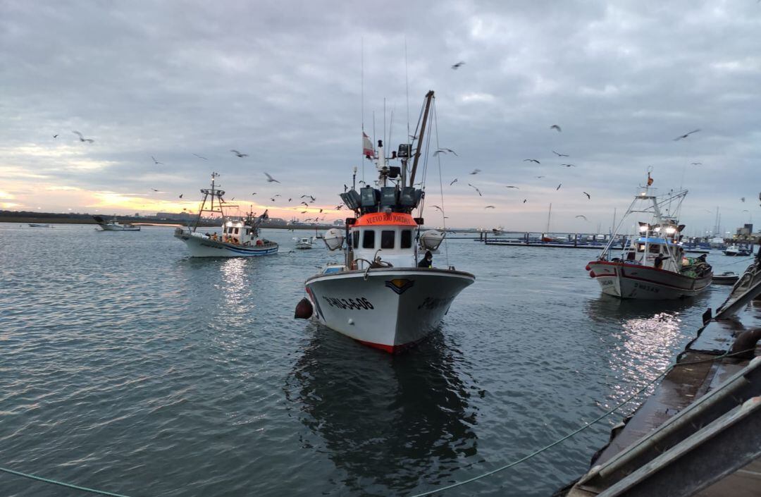 Embarcación llegando al puerto pesquero de Punta Umbría