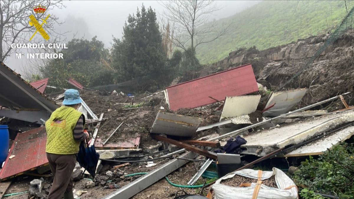 Las consecuencias de la borrasca Nils: deja incidencias graves en toda la provincia