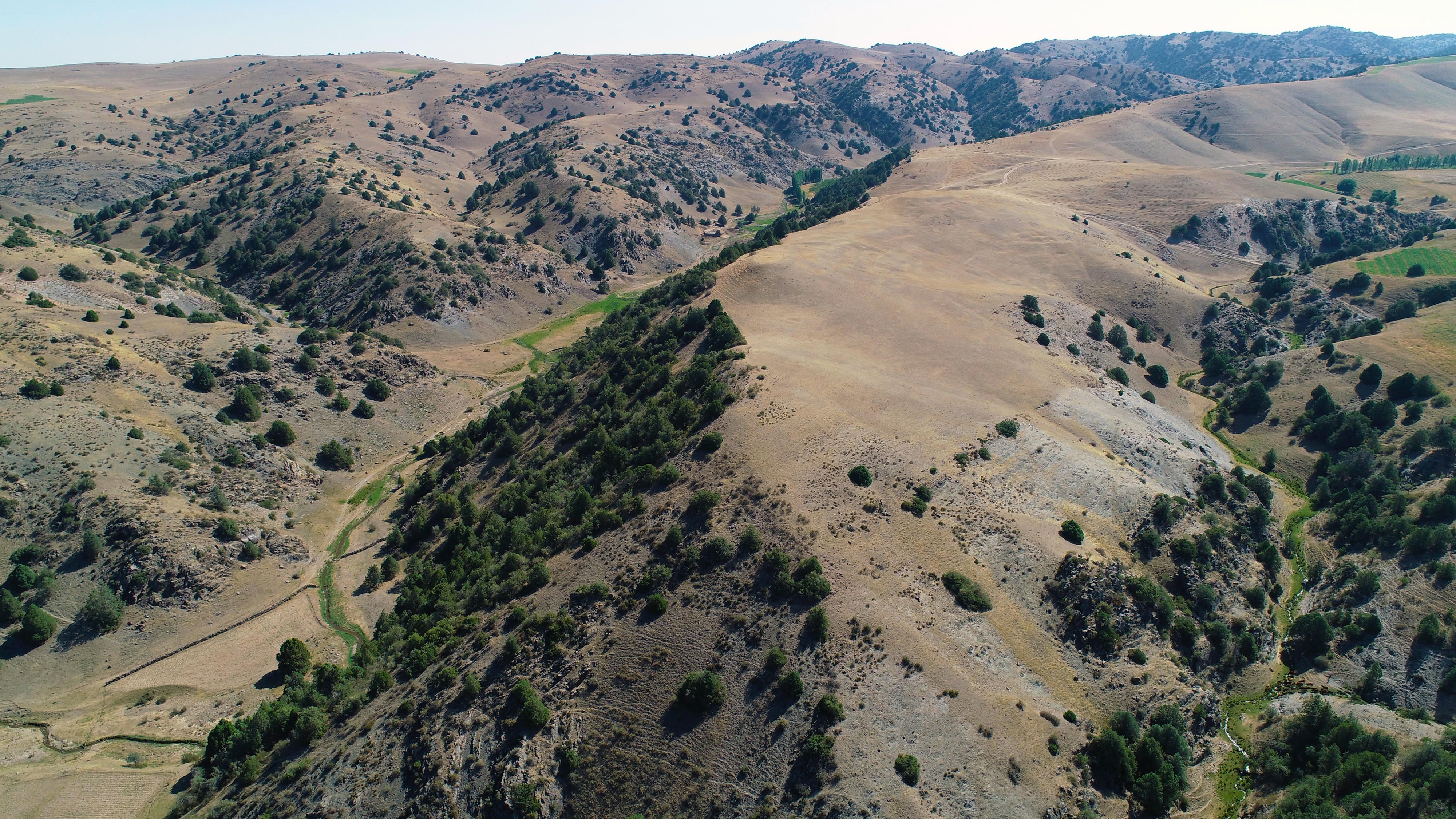 Montículo donde se encuentra Tugunbulak a vista de dron. Se puede comprobar que los restos no son observables a simple vista
Crédito: M Frachetti