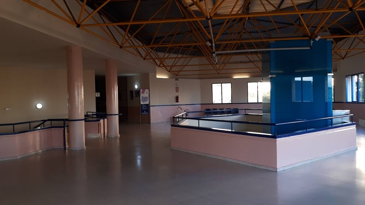 Jorge Juliá analiza el deporte en Algeciras