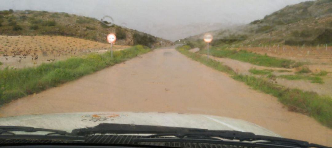 Imagen de un camino rural en Montealegre este domingo