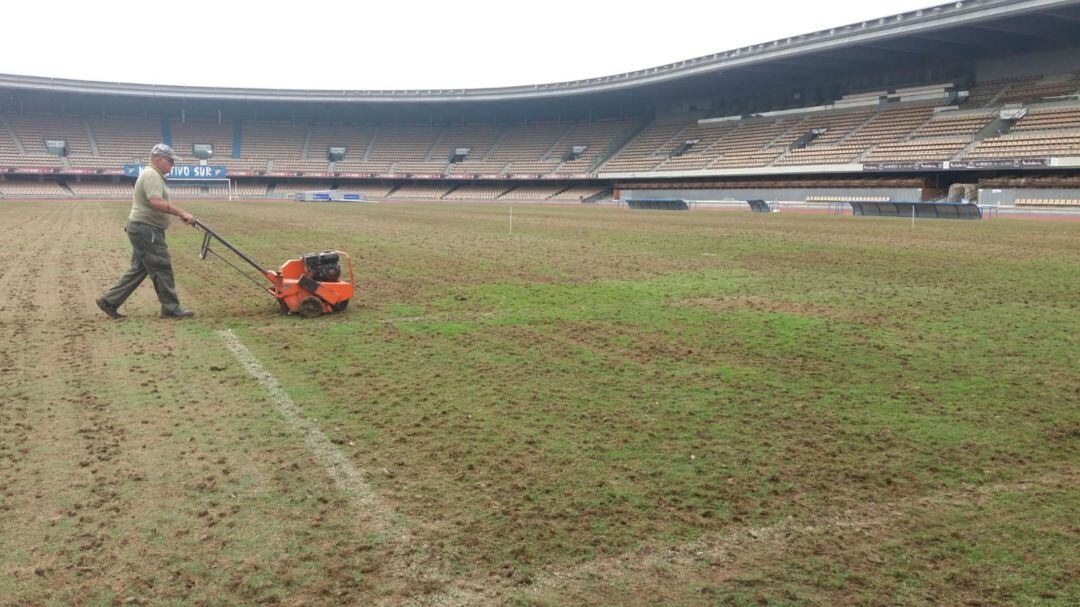 Operarios municipales trabajando sobre el césped de Chapín