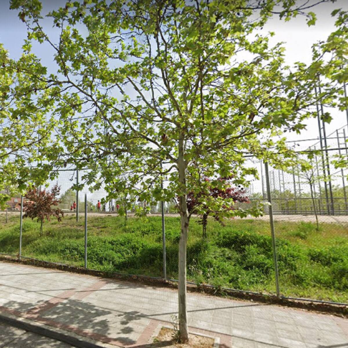 Alcobendas renueva el césped de tres campos de fútbol con una inversión de 550.000 euros