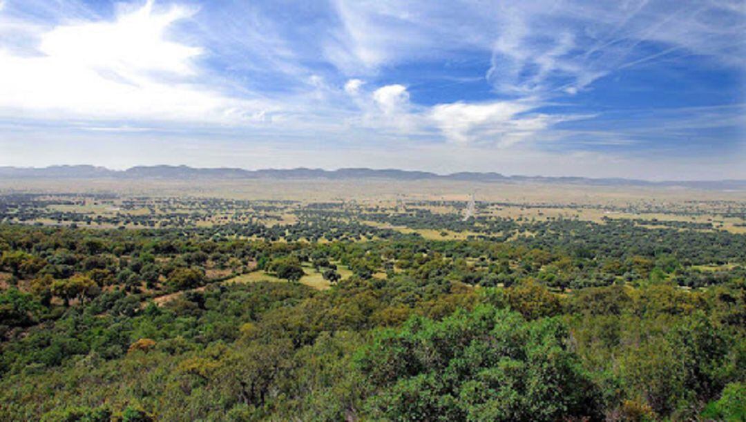 Parque Natural del Valle de Alcudia y Sierra Madrona