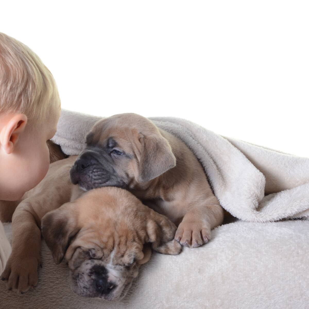 Una de las mejores fotógrafas de bebés del mundo señala las locuras que le han llegado a pedir: "Tengo padres muy frikis"