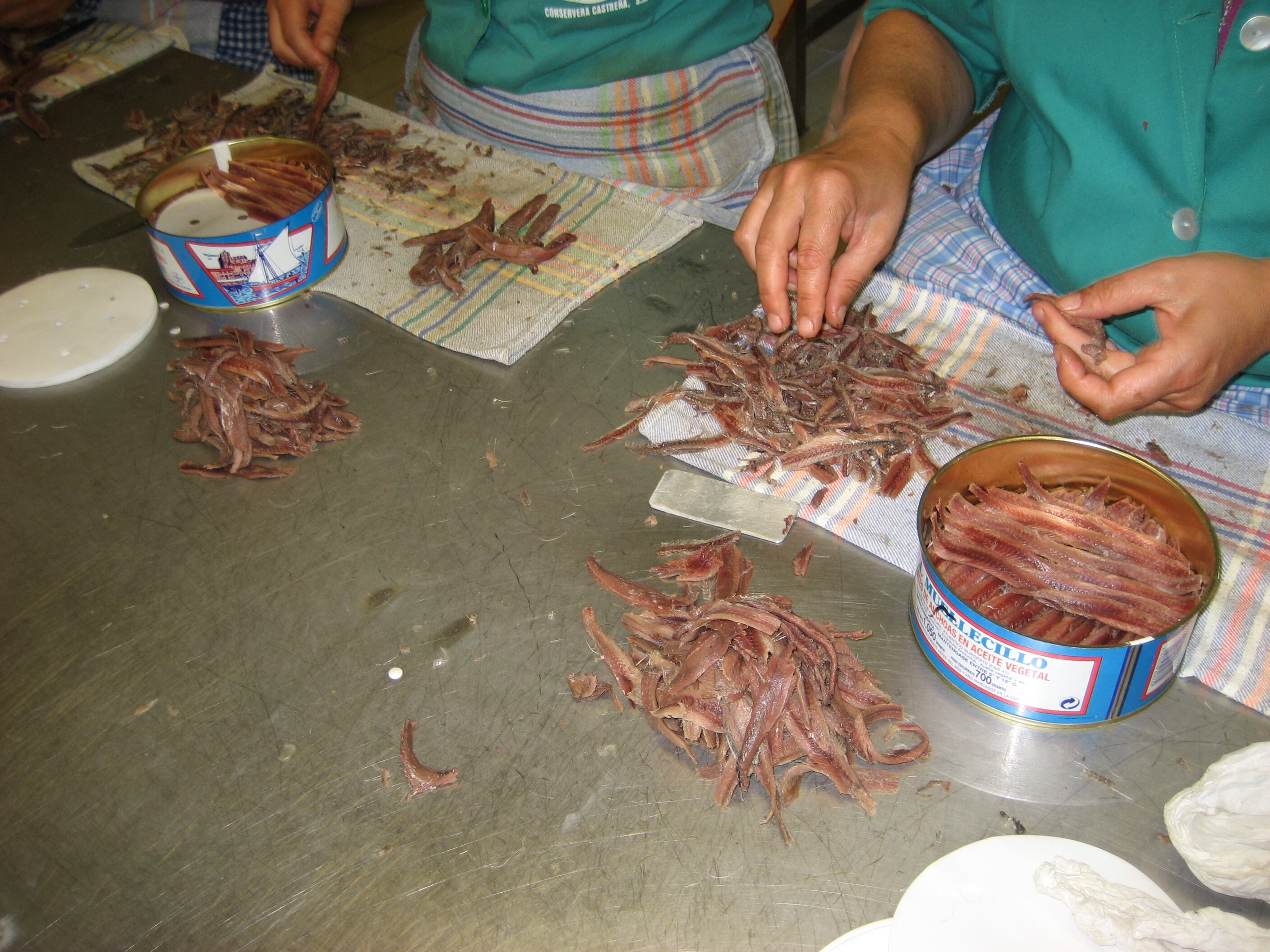 Elaboración artesanal de la anchoa