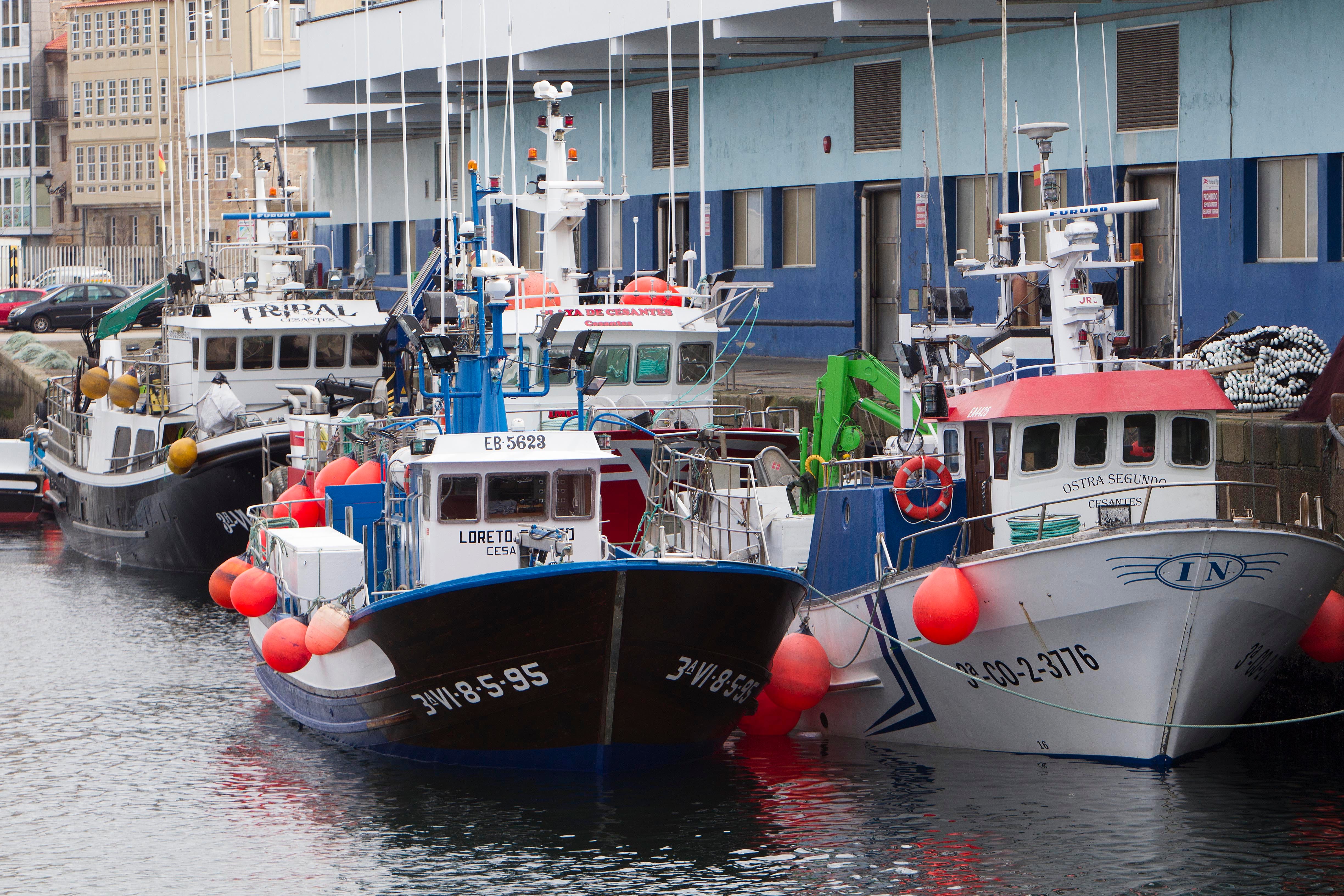 Barcos de pesca en el puerto pesquero de Vigo. EFE / Salvador Sas