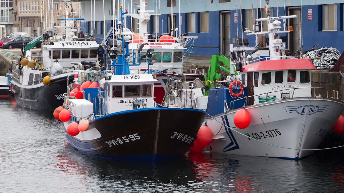 La flota de Pontevedra para