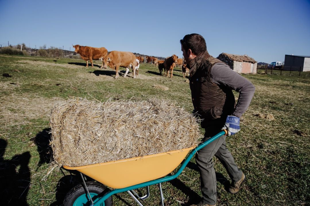 Joven agricultor