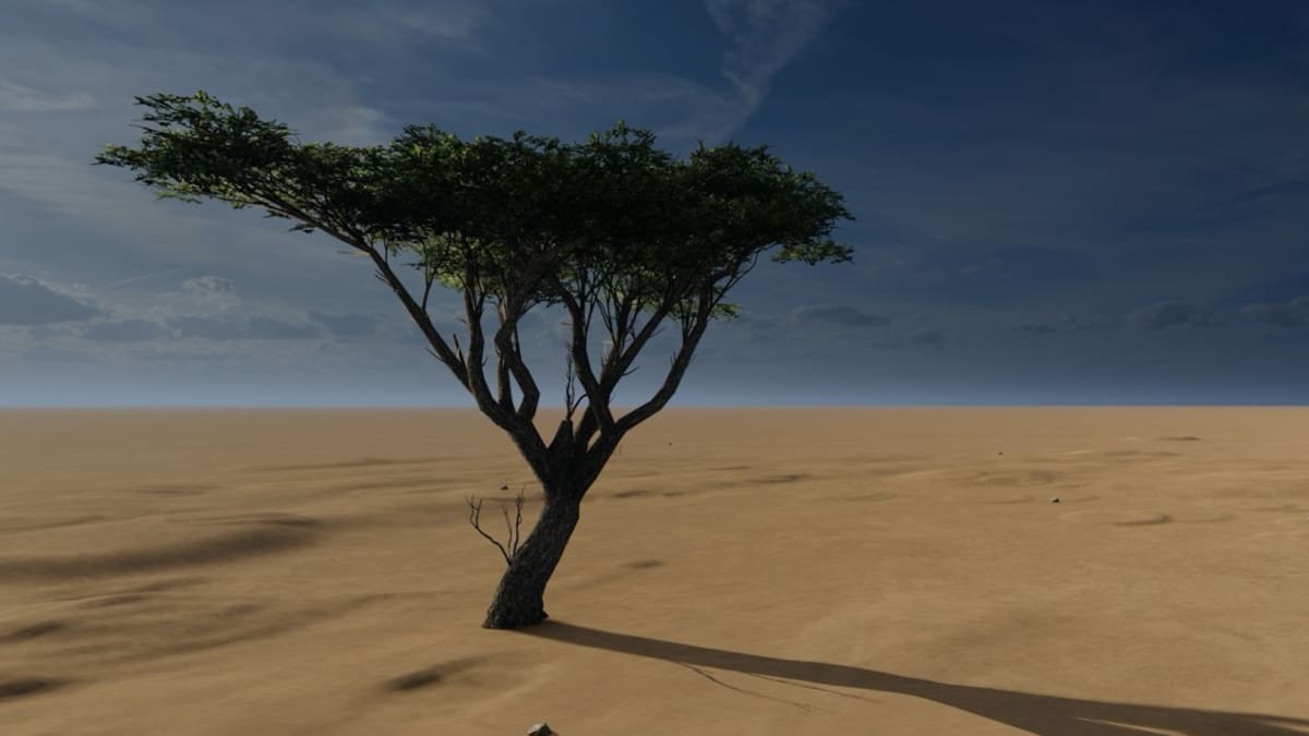 La trágica historia del árbol más solitario del mundo: "Era lo único que quedaba en 400.000 kilómetros cuadrados a la redonda"