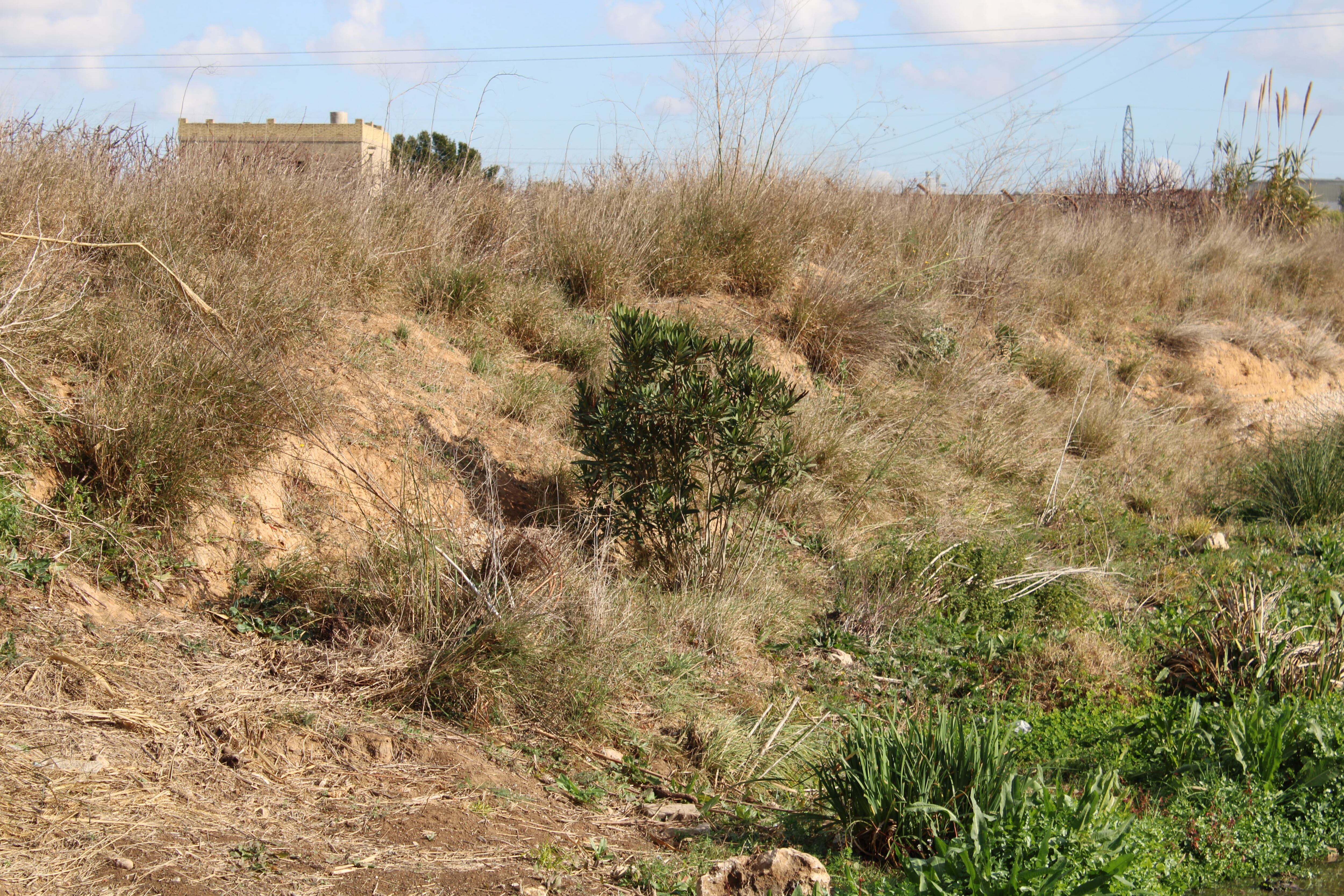 Heineken España apuesta por consumir menos agua para hacer frente a la sequía. Fuente: gabinete Heineken España