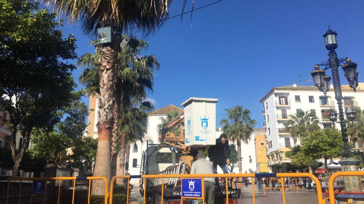 Ser Cofrade 10.04.19