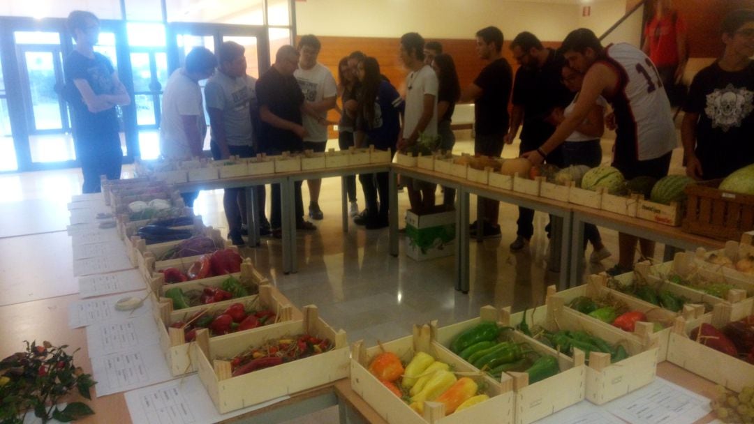 Alumnos del CdT Marina Alta de Dénia contemplando la exposición de variedades valencianas tradicionales.