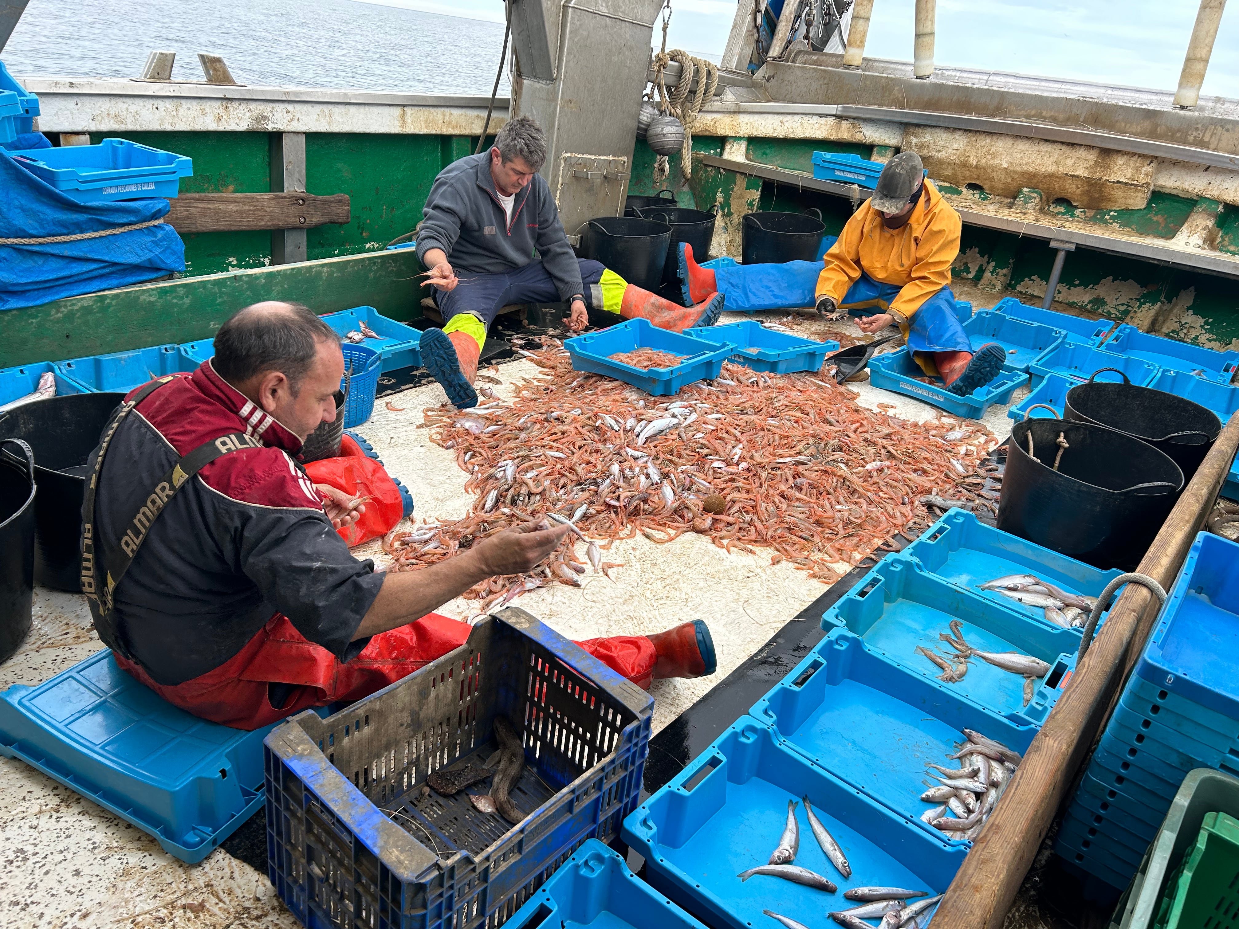 Pescadores clasificando las gambas y otros productos del mar capturados en el Mediterráneo