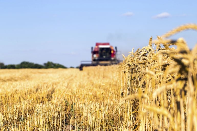 Agricultura convoca subvenciones al seguro agrario por casi 12 millones de euros