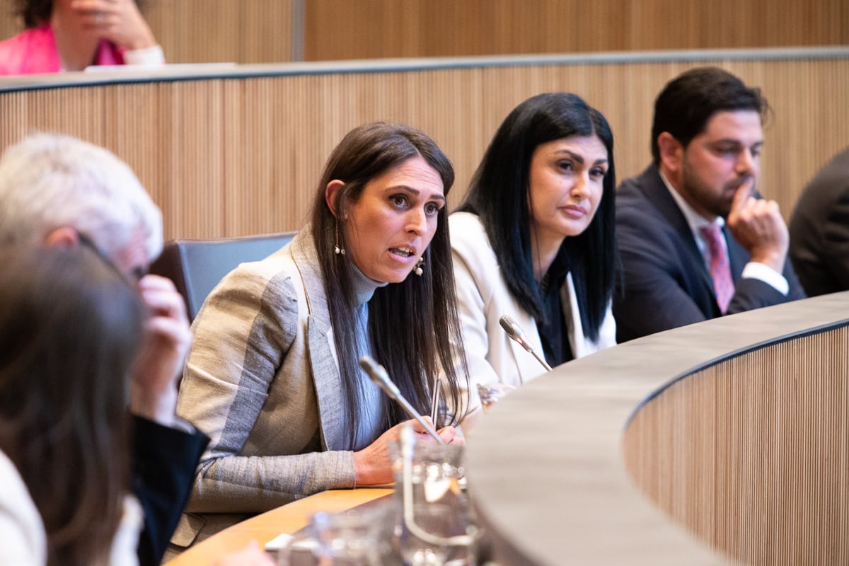 Els consellers generals d&#039;Andorra Endavant