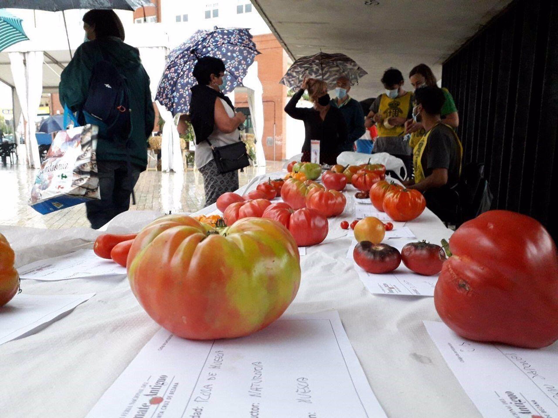 Feria Nacional del Tomate