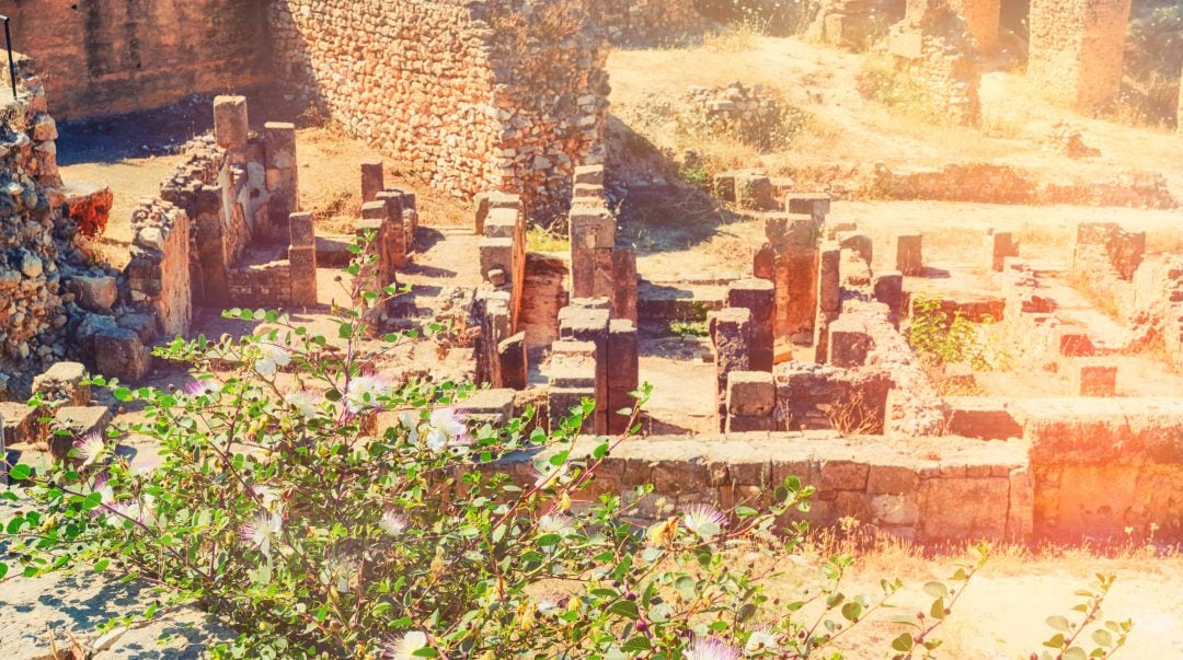 Ruinas de las guerras púnicas con Roma en Cartago. La casa donde nació el comandante Hannibal