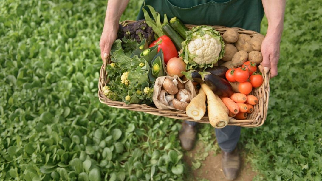 Alimentos ecológicos