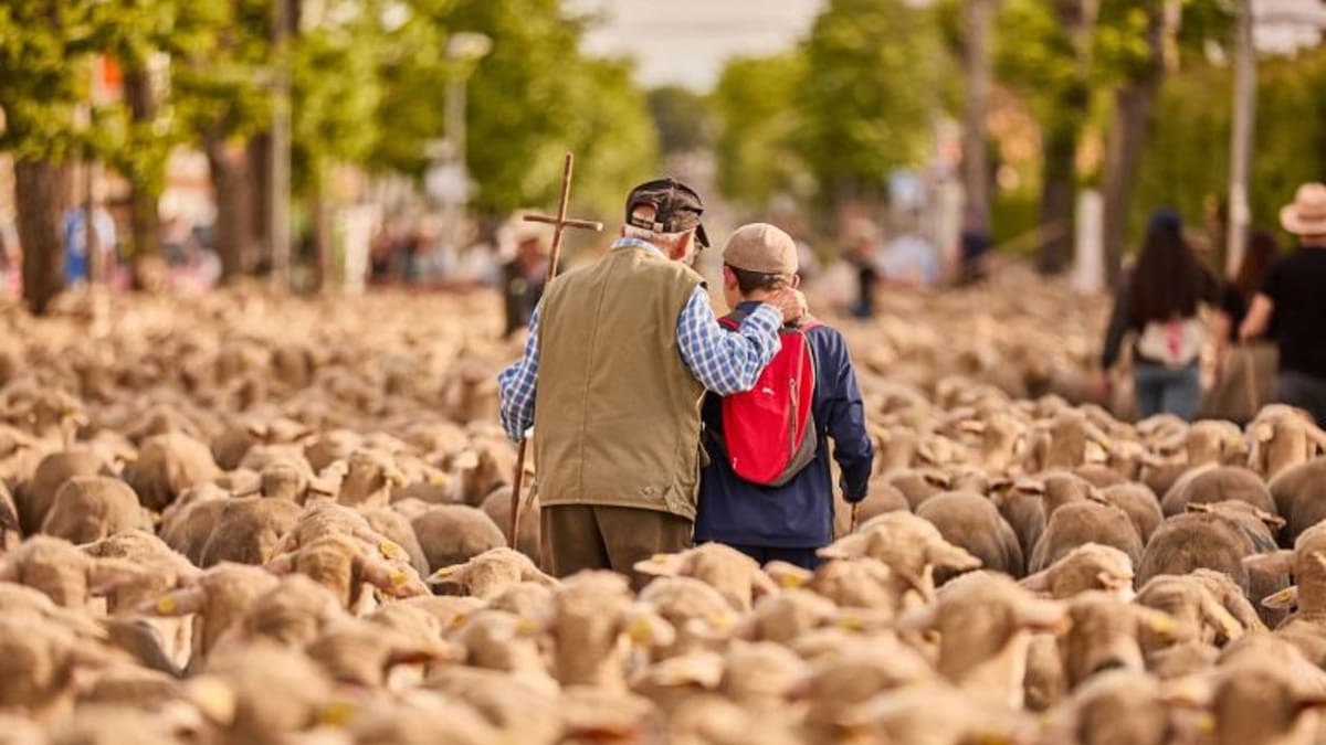 La Cañada Real Conquense como ejemplo en el proyecto nacional de Caminos Trashumantes