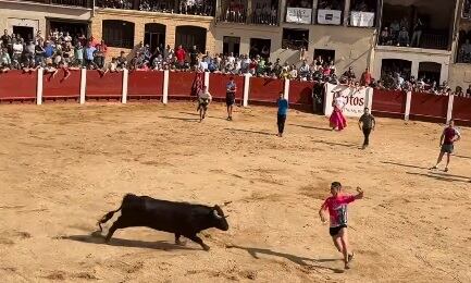 Plaza del Coso