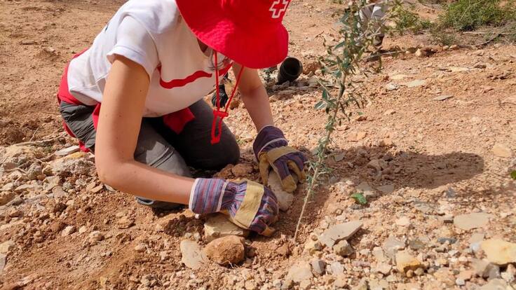El vicepresidente de la Asamblea Comarcal de Peñafiel, Alejandro Reyes, repasa en la SER el proyecto Co(mpensa)2 para la reforestación de árboles contra la emisión de gases a la atmósfera
