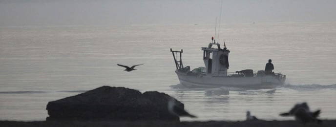 Un pesquero se dirige al puerto de la Atunara de la Línea de la Concepción.