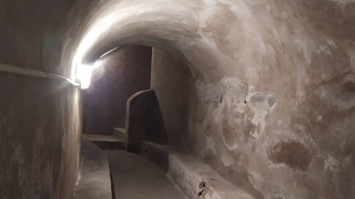 El Consell organiza una veintena de actividades por la Diada de Mallorca