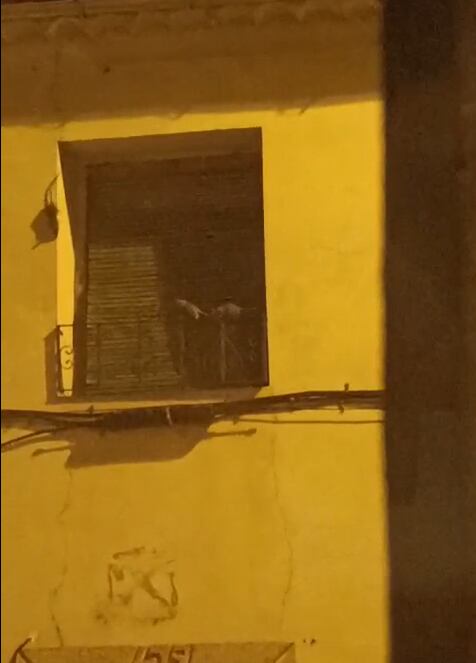 Plaga de ratas en el barrio de San Frontis