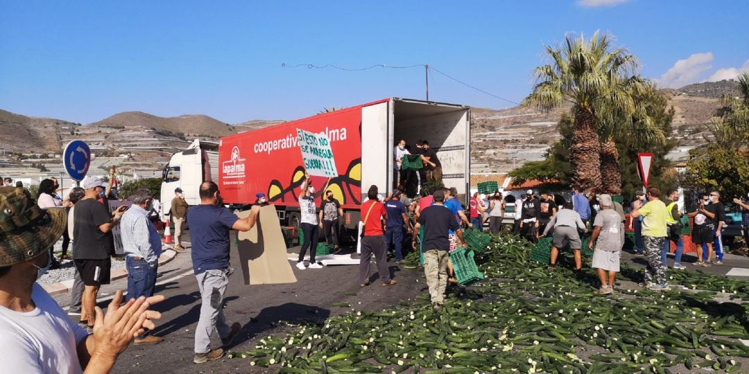 Agricultores de Carchuna tiran pepinos como medida de protesta por los bajos precios que reciben de su producción